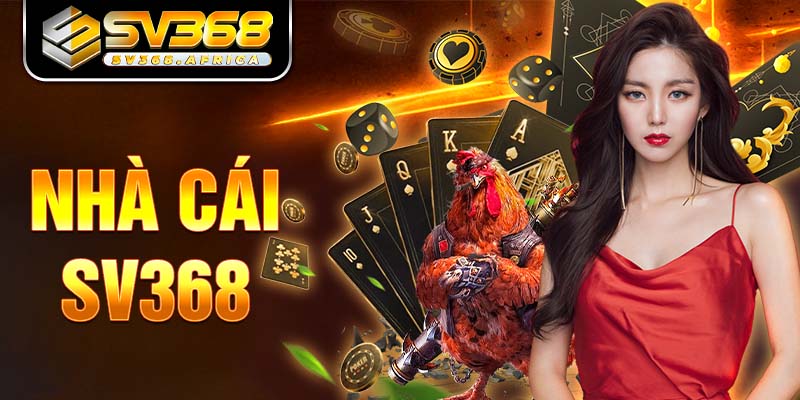 Hành trình vươn tới đỉnh cao giải trí cá cược trực tuyến